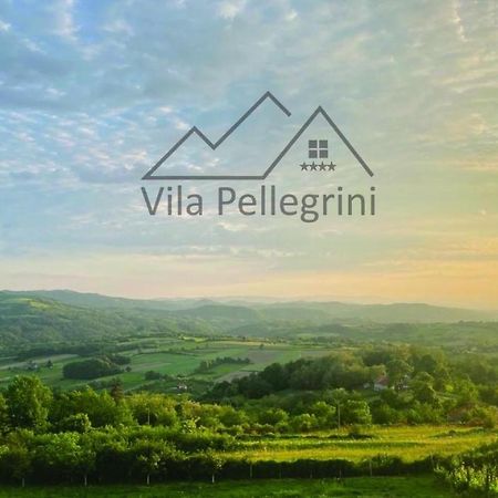 Vila Pellegrini Arandjelovac Dış mekan fotoğraf